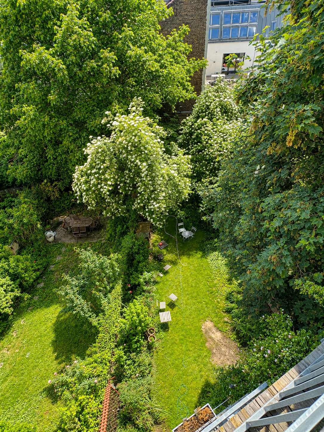 Garten (2)